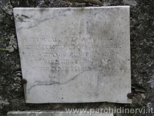 IMGP7207